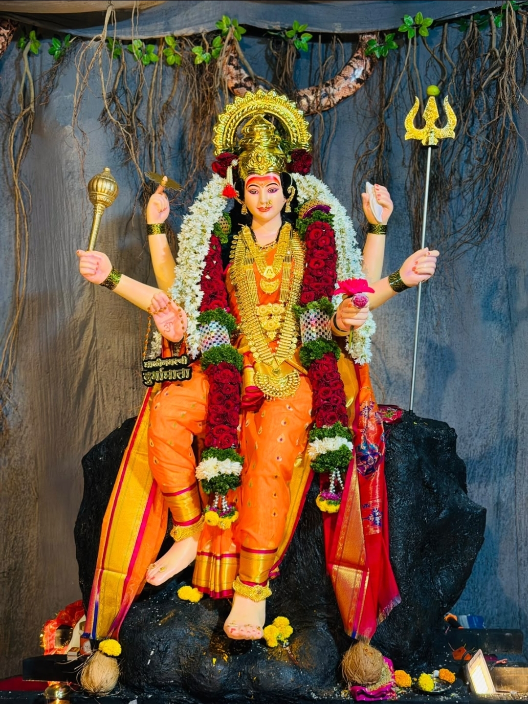 देहू देहूरोड परिसरात नवरात्र उत्सव उत्साहात सुरु