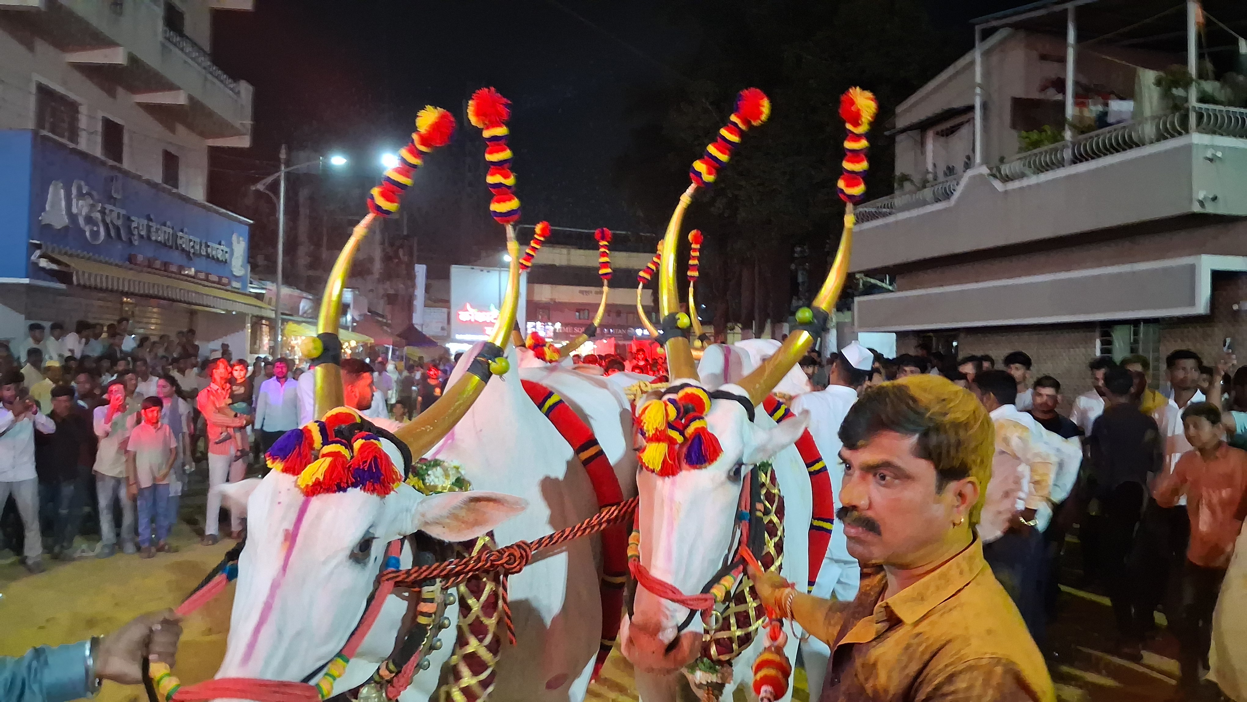 देहूत बैलपोळा सण पारंपरिक वाद्यांच्या गजरात आणि भंडाऱ्याची उधळण करत  उत्साहात साजरा