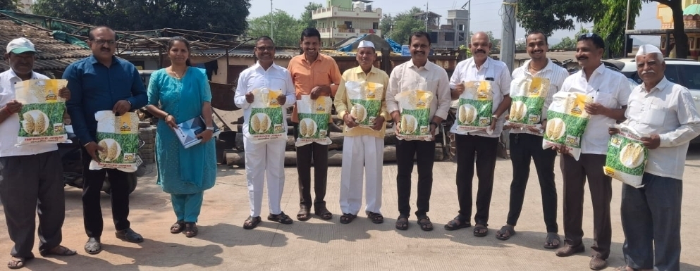 देहू रब्बी हंगामासाठी ज्वारीच्या सुधारित बियाण्यांचे वाटप