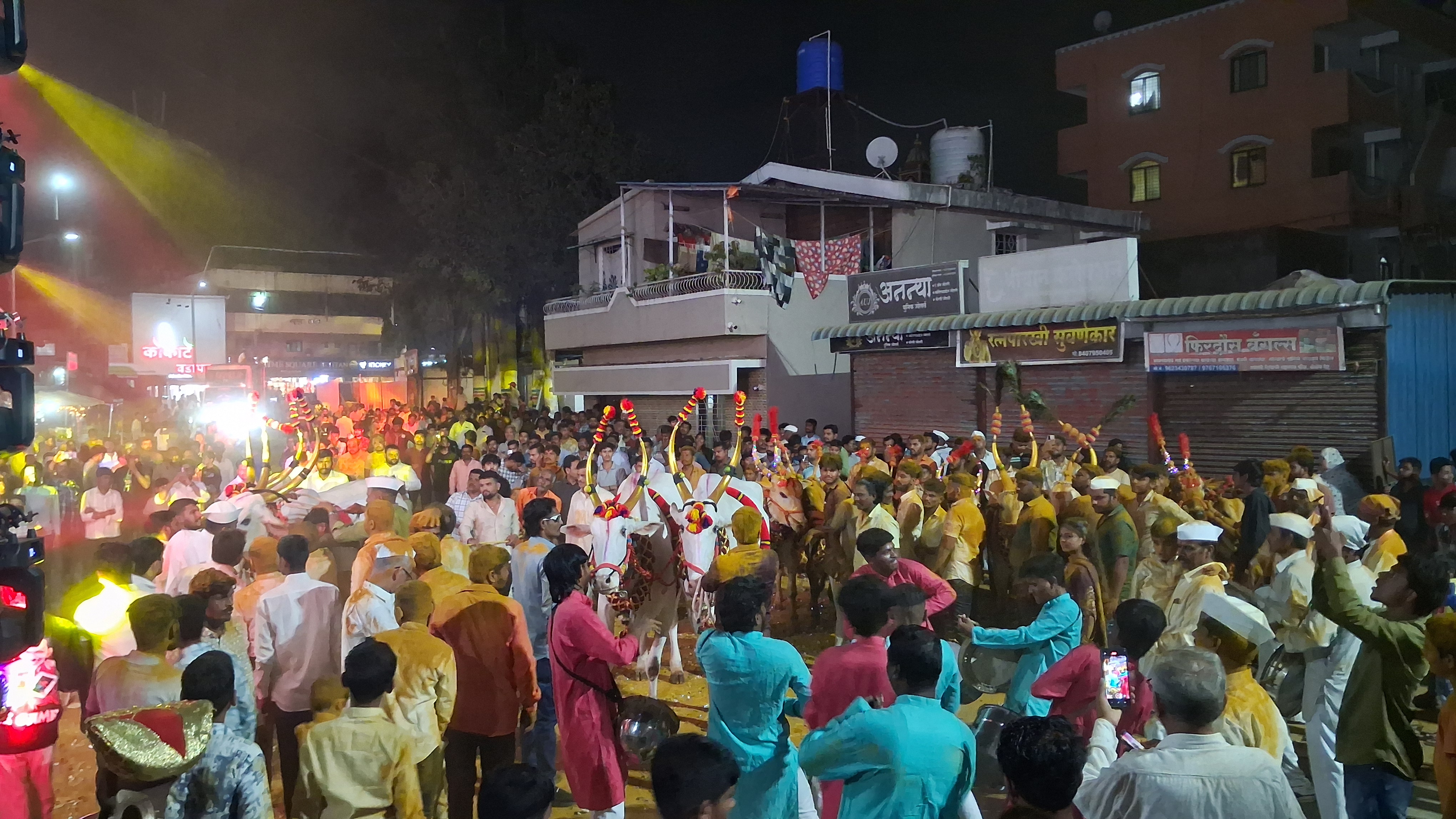 देहूत बैलपोळा सण पारंपरिक वाद्यांच्या गजरात आणि भंडाऱ्याची उधळण करत  उत्साहात साजरा